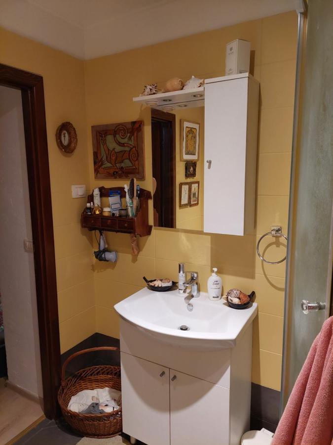 Campitelli View Apartment Ровин Екстериор снимка