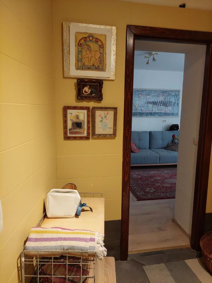 Campitelli View Apartment Ровин Екстериор снимка